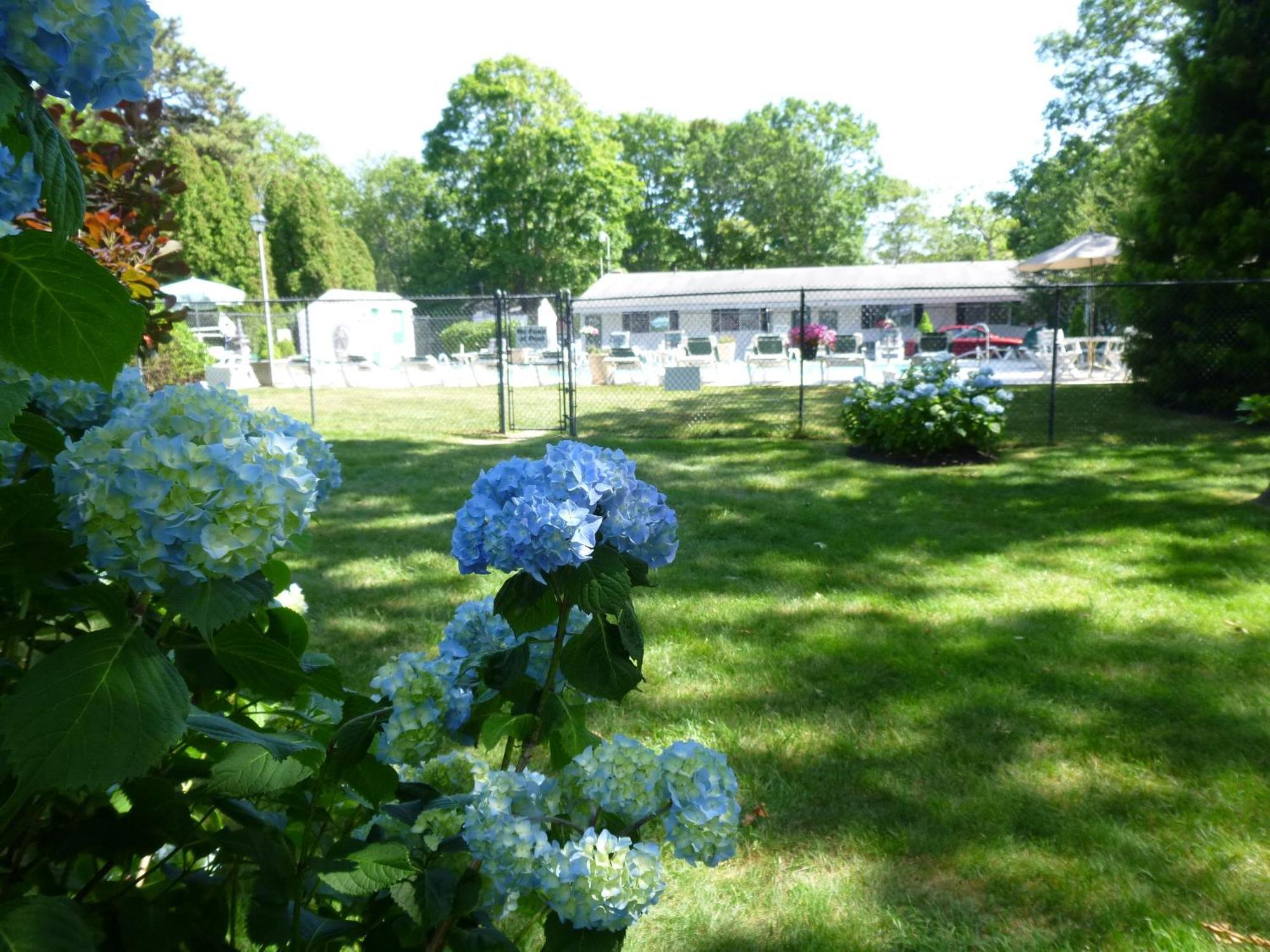 Falmouth Heights Motor Lodge Exterior foto